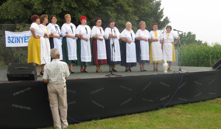 Dni obce 2008